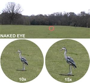 Binocular magnification comparison
