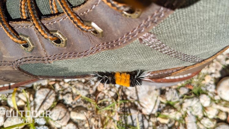 Caterpillar crawling on side of boot