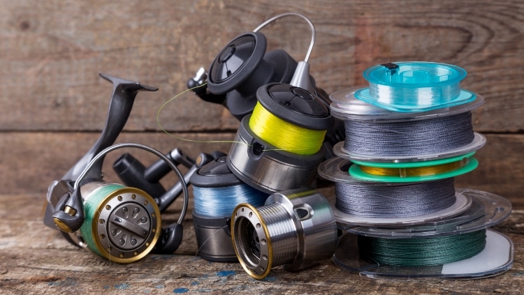 fishing reels and lines