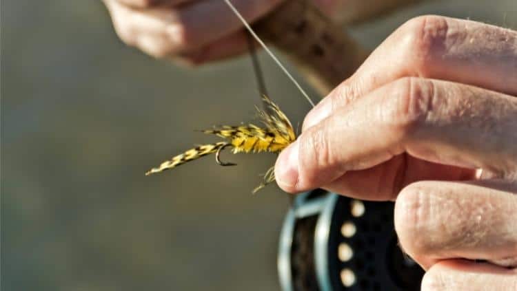 Fly fishing fly up close