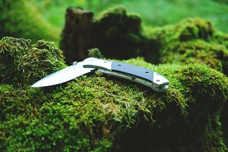 Folding knife on moss