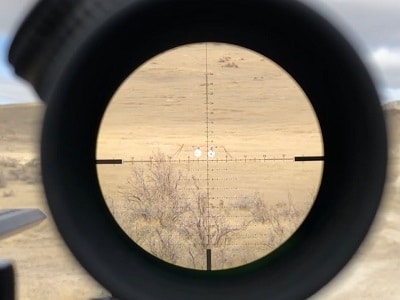 Magnified view through scope