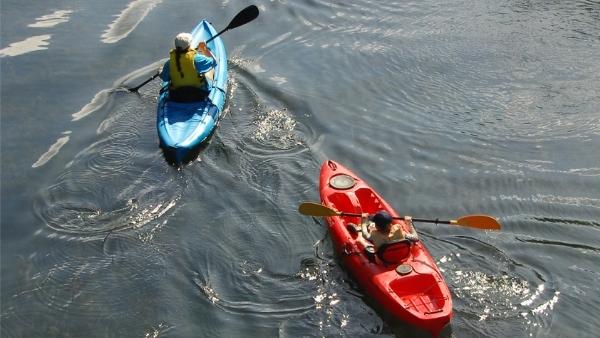 Recreational kayakers on calm water