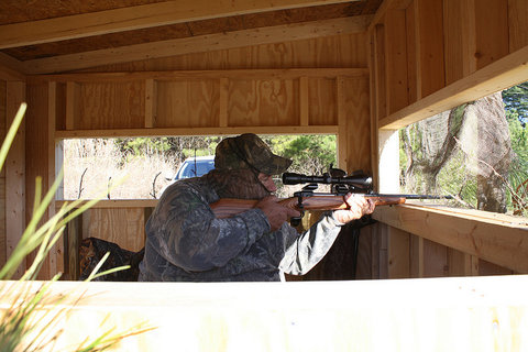 Aiming from hunting blind