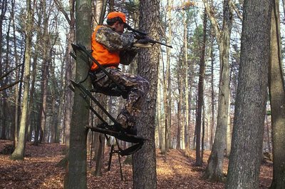 Hunter aiming on tree stand