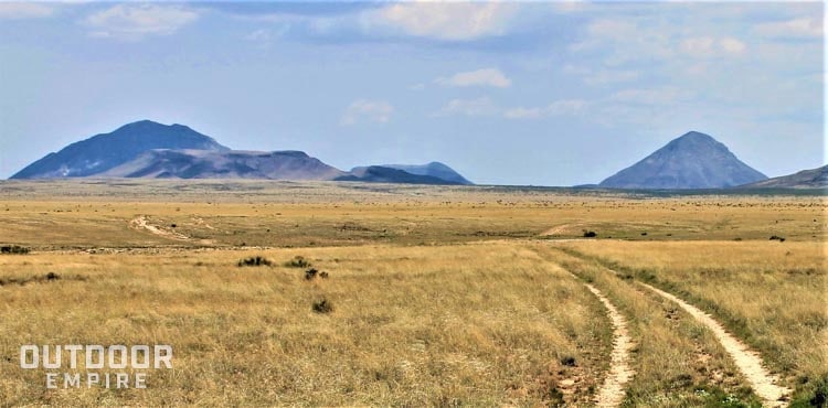 Dry high desert prairie with mountains in background