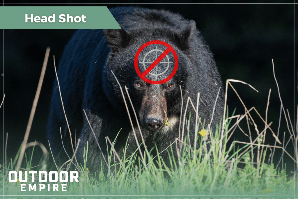 Graphic of a black bear facing camera with crosshairs centered on its head and a do not shoot symbol over top