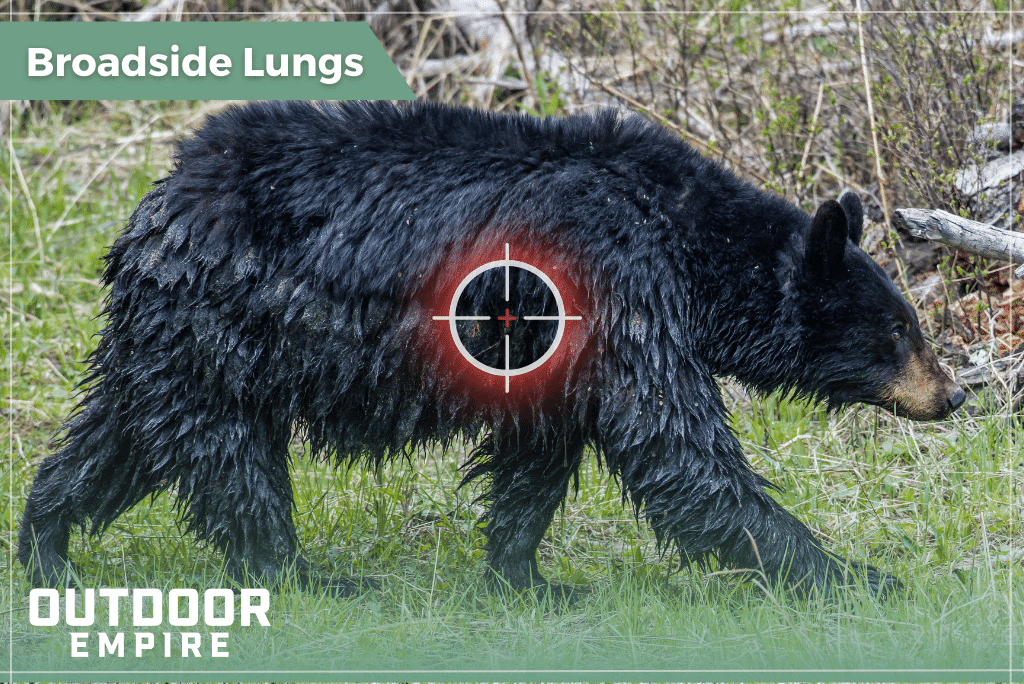Graphic of black bear walking broadside with crosshairs just behind the shoulder