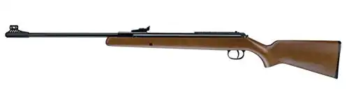 Rws model 34. 22 caliber
